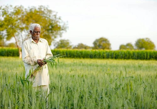 Farmer Outreach