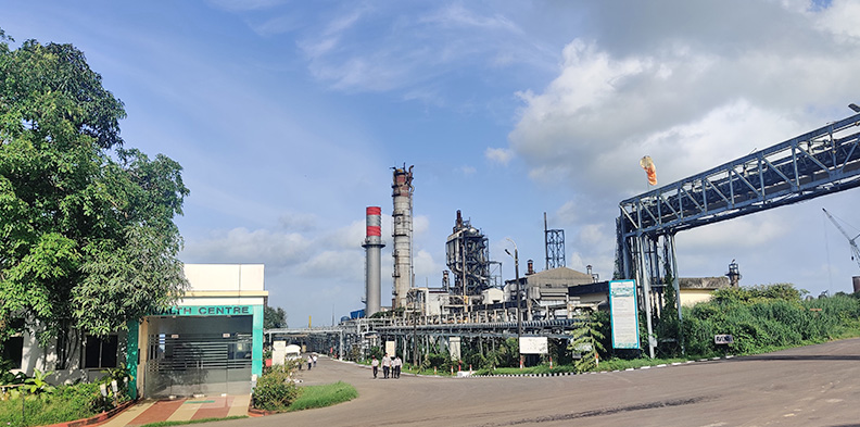 Goa plant